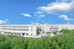 攜手同心、行而不輟，奔赴美好的2024